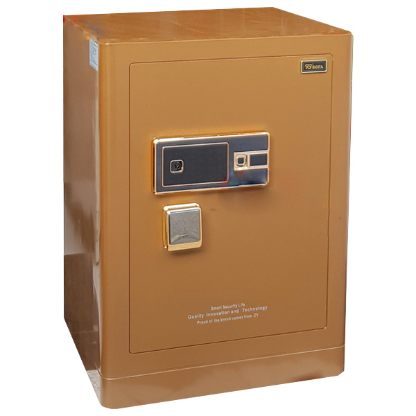 BF-V-60BS2 BF-V-60BS2