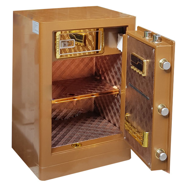 BF-V-60BS2 BF-V-60BS2