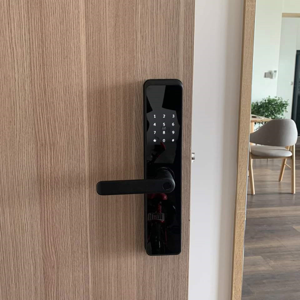 FB_IMG_1669543244619