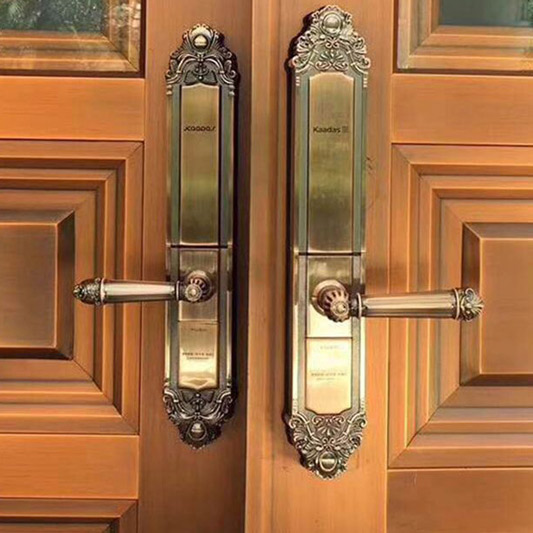 khoa-van-tay-kaadas-6002-3