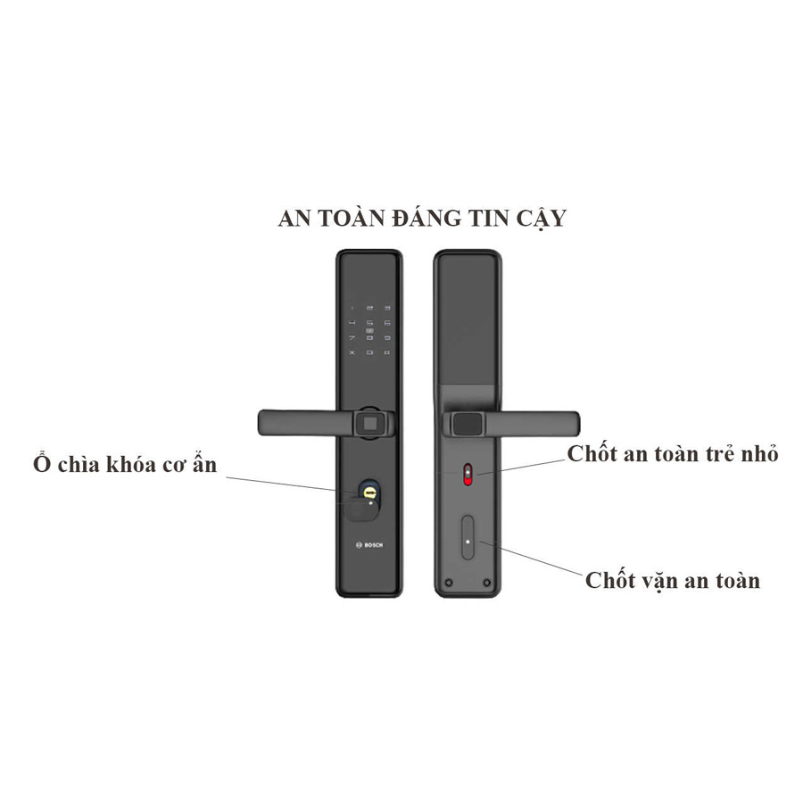 khoaboschantoandangtincay