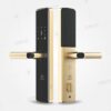 KL-678 Gold